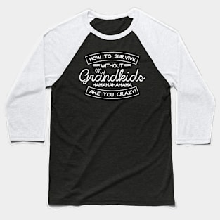 Funny Grandma or Garnddad Gift Baseball T-Shirt